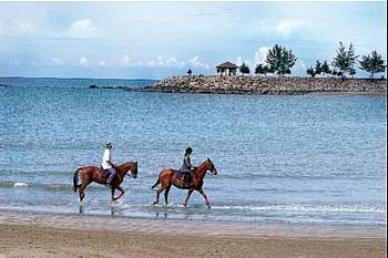Horseriding_by_the_empire_beach